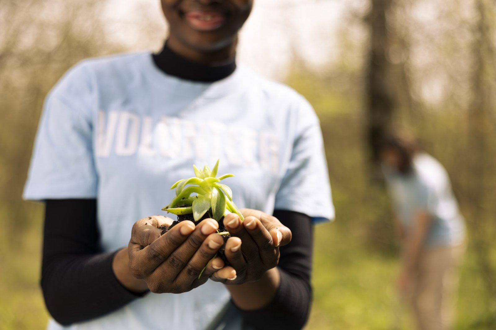 African american teenager advocating ecology by holding a small plant, growing seedlings in organic soil for future generations. Young girl preserving natural environment in the forest.